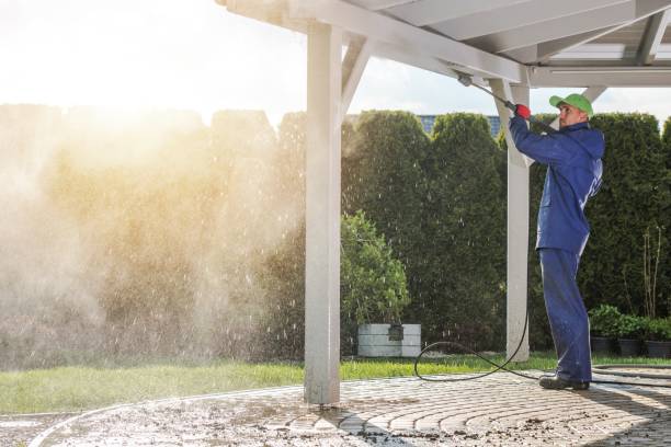 Best Sidewalk and Walkway Cleaning  in Jackson, LA